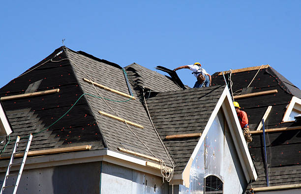Best Roof Gutter Cleaning  in Machesney Park, IL