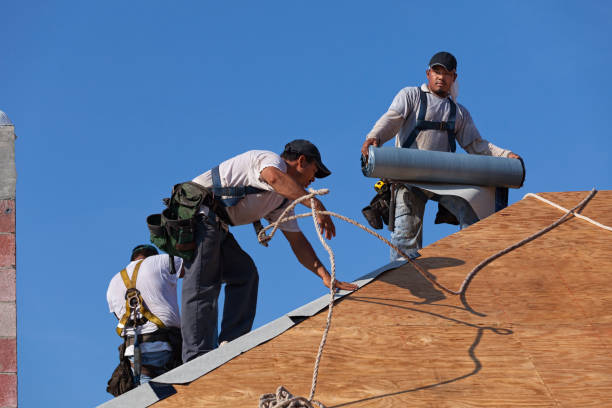 Best Gutter Installation and Roofing  in Machesney Park, IL