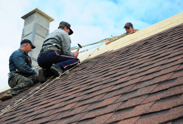 Best Roof Waterproofing Services  in Machesney Park, IL