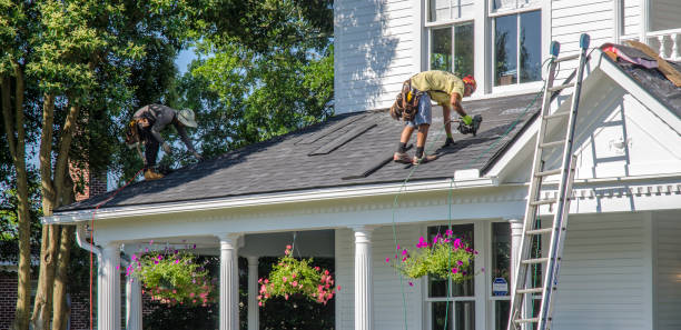 Roof Gutter Cleaning in Machesney Park, IL